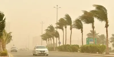 الجيل اخبار اليمن الان الأرصاد شديدة منطقة ومحافظة شرورة اخبار اليمن الان الحدث اليوم عاجل الجيل
