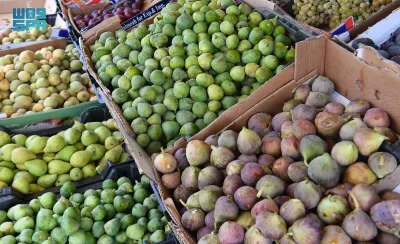 اخبار اليمن الان الحدث اليوم عاجل سبق