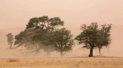 اخبار اليمن الان الحدث اليوم عاجل سبق