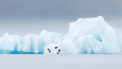 اخبار اليمن الان الحدث اليوم عاجل cnn عربي