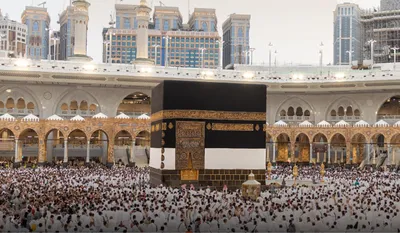 اخبار اليمن الان الحدث اليوم عاجل سبق