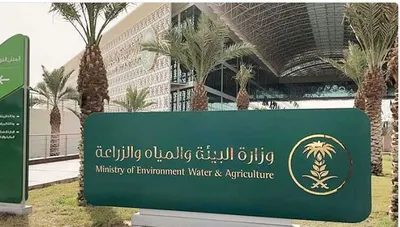 اخبار اليمن الان الحدث اليوم عاجل الجيل