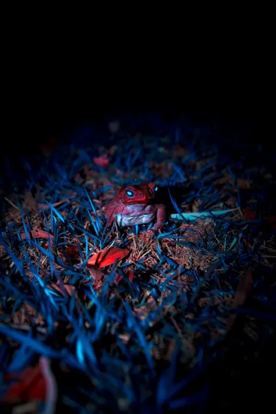 اخبار اليمن الان الحدث اليوم عاجل cnn عربي