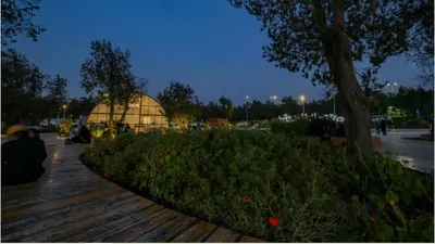 الجيل اخبار اليمن الان رغدان صيفية السروات بمقوماتها الطبيعية اخبار اليمن الان الحدث اليوم عاجل الجيل