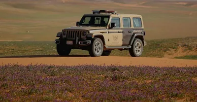 سبق اخبار اليمن الان البيئي مخالفا البيئة الأمير الملكية اخبار اليمن الان الحدث اليوم عاجل سبق