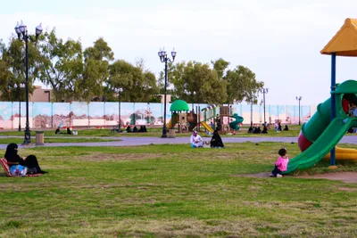 الجيل اخبار اليمن الان حدائق القصيم تحتضن الزوار الأضحى اخبار اليمن الان الحدث اليوم عاجل الجيل