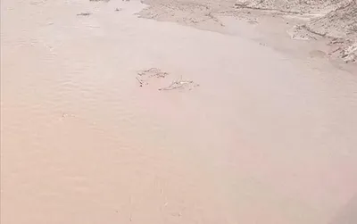 العاصفه نيوز اخبار اليمن الان نساء أسرة واحدة السيول اسماء اخبار اليمن الان الحدث اليوم عاجل العاصفه نيوز