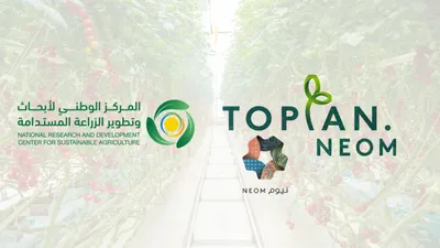 سبق اخبار اليمن الان المنافذ الجمركية تسجل 1371 أسبوع اخبار اليمن الان الحدث اليوم عاجل سبق