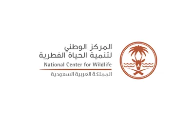 اخبار اليمن الان الحدث اليوم عاجل سبق