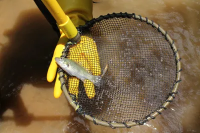 اخبار اليمن الان الحدث اليوم عاجل cnn عربي