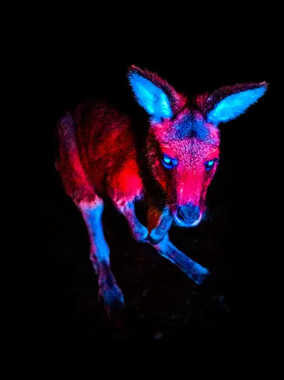 اخبار اليمن الان الحدث اليوم عاجل cnn عربي