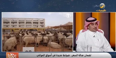 الجيل اخبار اليمن الان الأغنام العزيزية الشراء التطبيقات للمواشي اخبار اليمن الان الحدث اليوم عاجل الجيل