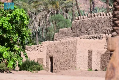 اخبار اليمن الان الحدث اليوم عاجل سبق