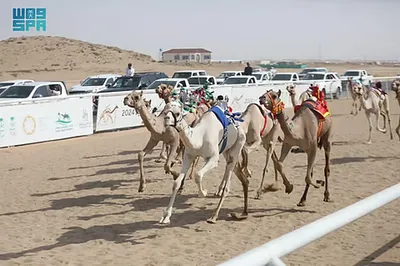 اخبار اليمن الان الحدث اليوم عاجل سبق