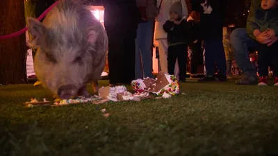 اخبار اليمن الان الحدث اليوم عاجل cnn عربي