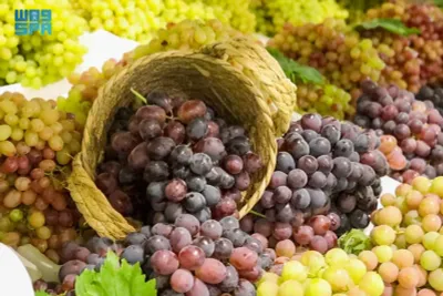 سبق اخبار اليمن الان المملكة المحلي وكميات الإنتاج تتجاوز اخبار اليمن الان الحدث اليوم عاجل سبق