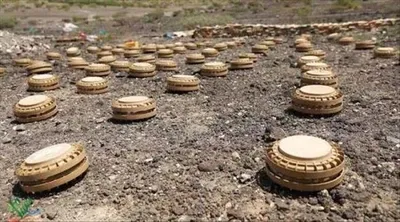 العاصفه نيوز اخبار اليمن الان يواصل جهوده وينزع الألغام أسبوع اخبار اليمن الان الحدث اليوم عاجل العاصفه نيوز