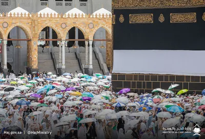 اخبار اليمن الان الحدث اليوم عاجل سبق