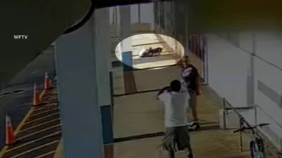 cnn عربي اخبار اليمن الان صرخت تستنجد جدوى تتفاجأ صاحبه اخبار اليمن الان الحدث اليوم عاجل cnn عربي