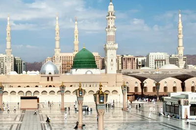 الجيل اخبار اليمن الان الكراسي المتحركة المسجد النبوي الشريف اخبار اليمن الان الحدث اليوم عاجل الجيل