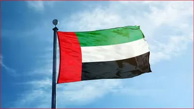اخبار اليمن الان الحدث اليوم عاجل الجيل