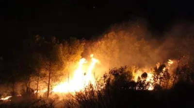 العاصفه نيوز اخبار اليمن الان الجزائر تسجل غابات ولايات الأقل اخبار اليمن الان الحدث اليوم عاجل العاصفه نيوز