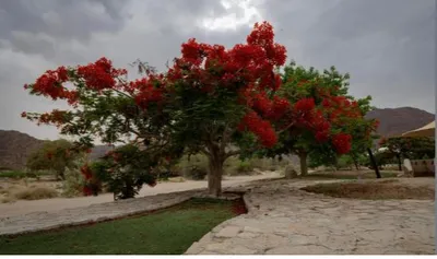 الجيل اخبار اليمن الان محافظة الجنوب بالحياة والجمال الاستثمار اخبار اليمن الان الحدث اليوم عاجل الجيل