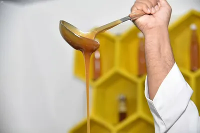 سبق اخبار اليمن الان جازان مهرجان بالعيدابي الذاكرة العالمي اخبار اليمن الان الحدث اليوم عاجل سبق