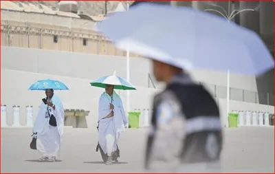 الجيل اخبار اليمن الان الصحة التعرض الفترة العاشرة الرابعة اخبار اليمن الان الحدث اليوم عاجل الجيل