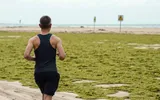 timesofindia اخبار اليمن الان france state responsible jogger toxic اخبار اليمن الان الحدث اليوم عاجل timesofindia