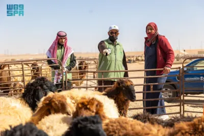 سبق اخبار اليمن الان النجدي شرائية للأضاحي بمدينة الأنعام اخبار اليمن الان الحدث اليوم عاجل سبق