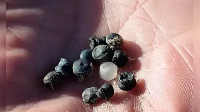 اخبار اليمن الان الحدث اليوم عاجل cnn عربي