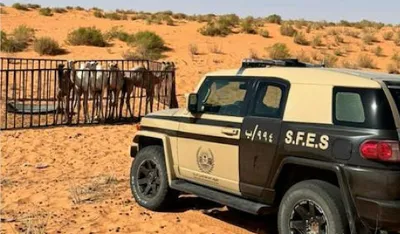 اخبار اليمن الان الحدث اليوم عاجل سبق