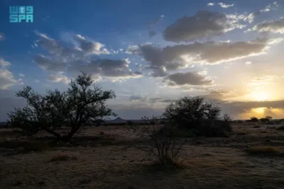 سبق اخبار اليمن الان بنجران ارتباط بالحياة اليومية للإنسان اخبار اليمن الان الحدث اليوم عاجل سبق
