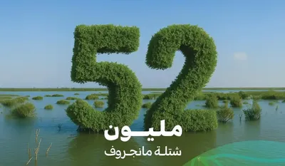 اخبار اليمن الان الحدث اليوم عاجل سبق