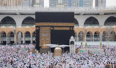 اخبار اليمن الان الحدث اليوم عاجل المواطن