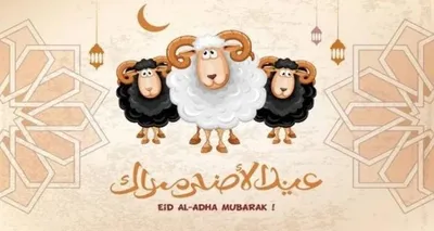 الجيل اخبار اليمن الان الاغتسال الذبح الأضحى المبارك النبي اخبار اليمن الان الحدث اليوم عاجل الجيل