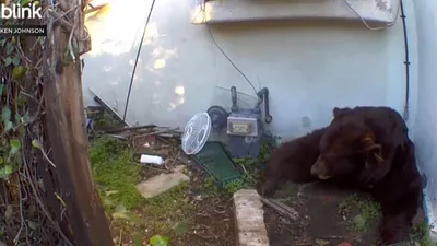 cnn عربي اخبار اليمن الان لإخراج منزله ليجذب ويضع بموقف اخبار اليمن الان الحدث اليوم عاجل cnn عربي