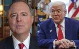 timesofindia اخبار اليمن الان president democrat senator alleges insider اخبار اليمن الان الحدث اليوم عاجل timesofindia