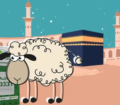 اخبار اليمن الان الحدث اليوم عاجل سبق
