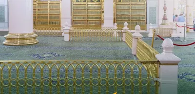 الجيل اخبار اليمن الان الرحمن بمراعاة تعليمات الروضة الشريفة اخبار اليمن الان الحدث اليوم عاجل الجيل