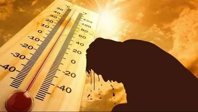 سبق اخبار اليمن الان المسند الموجة الحارة وأثرها المناخي اخبار اليمن الان الحدث اليوم عاجل سبق