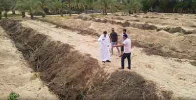 cnn عربي اخبار اليمن الان يسعى لتحويل صحارى الكويت خضراء اخبار اليمن الان الحدث اليوم عاجل cnn عربي