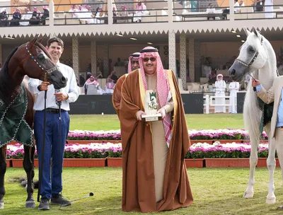 اخبار اليمن الان الحدث اليوم عاجل سبق