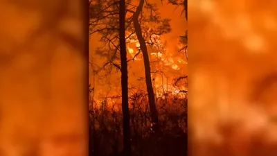 cnn عربي اخبار اليمن الان الإطفاء لإخماد الغابات نيوجيرسي الاتساع اخبار اليمن الان الحدث اليوم عاجل cnn عربي