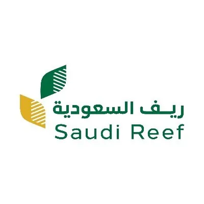 الجيل اخبار اليمن الان السعودية مستفيد البرنامج لاستقرار المجتمع اخبار اليمن الان الحدث اليوم عاجل الجيل
