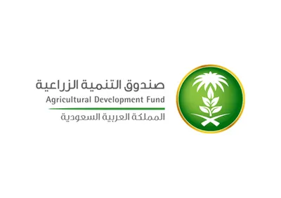 اخبار اليمن الان الحدث اليوم عاجل سبق