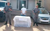 النهار الجزائرية اخبار اليمن الان جمارك تلمسان محاولة تمرير مهلوس اخبار اليمن الان الحدث اليوم عاجل النهار الجزائرية