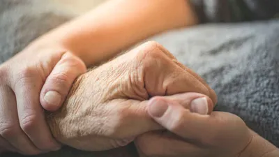 سبق اخبار اليمن الان النمر يوصي خطوات لرعاية المربعانية اخبار اليمن الان الحدث اليوم عاجل سبق