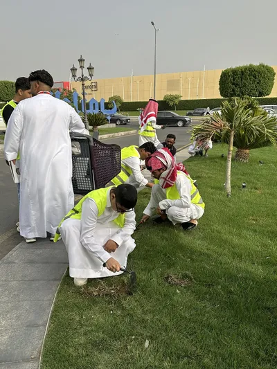 سبق اخبار اليمن الان المسؤولية الاجتماعية مبادرة لنجعلها بالطائف اخبار اليمن الان الحدث اليوم عاجل سبق